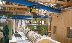 Laufkran mit Elektrokettenzug hebt Holzstamm