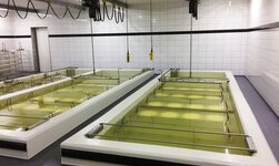 Ein Elektrokettenzug aus rosbeständigem Material ist in der Lebensmittelproduktion im Einsatz