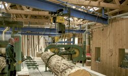 Hängebahn Schreinerei Kransystem für sperrige Lasten befördert Baumstamm zur Holzverarbeitung